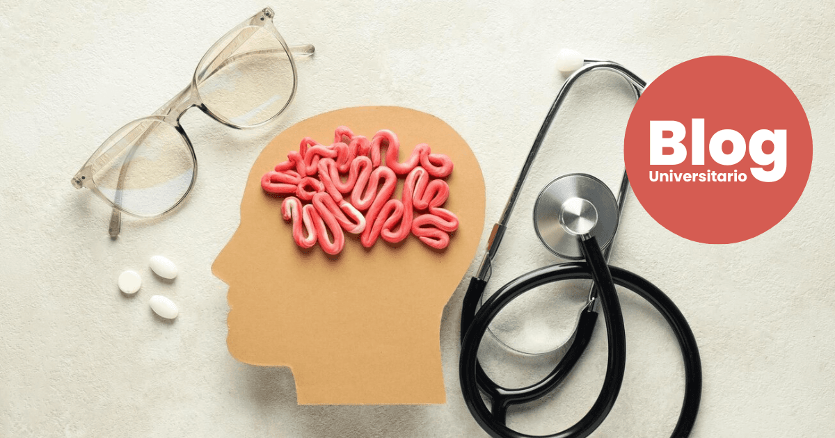 Imagen del artículo: ¿Por qué estudiar Psicología?