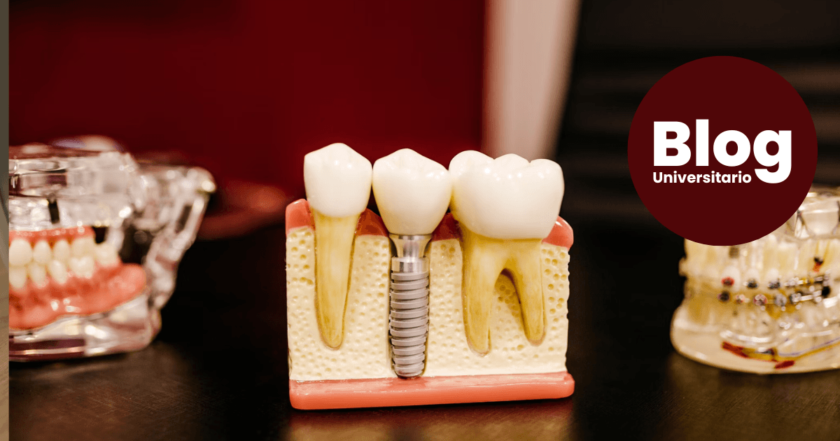 Imagen del artículo: Especialidades en Odontología
