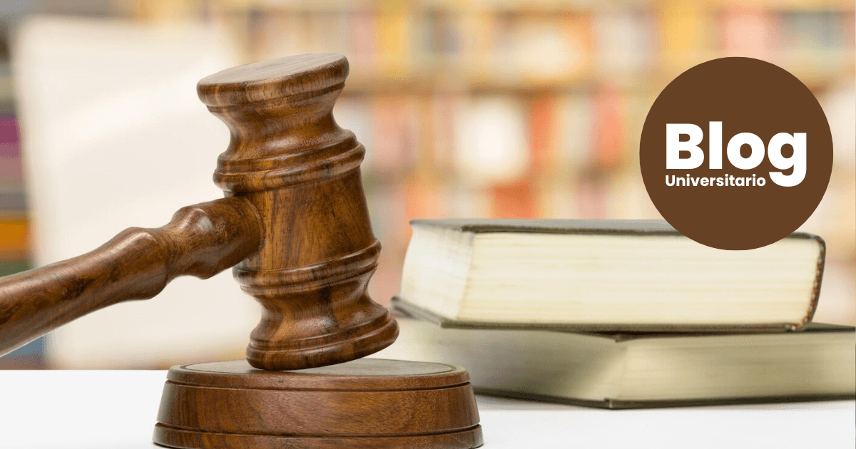 Imagen del artículo: ¿Querés estudiar Derecho? Aquí todo lo que necesitás saber