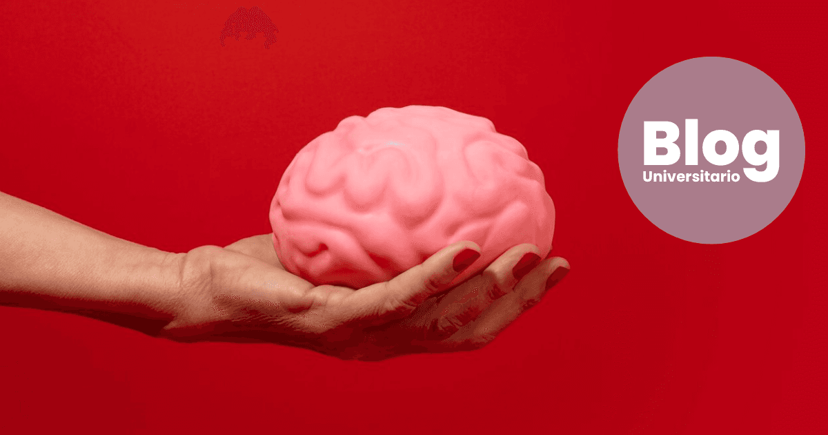 Imagen del artículo: Importancia de ejercitar el cerebro