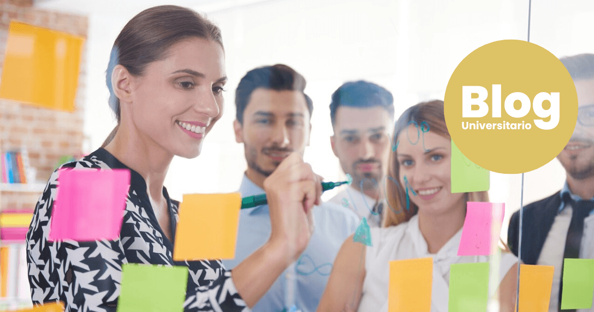 Imagen del artículo: ¿A dónde puedo trabajar si mi carrera es Administración de Empresas?