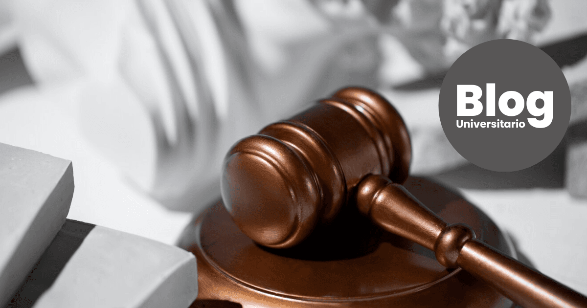 Imagen del artículo: Lo que necesitás saber si querés estudiar Derecho