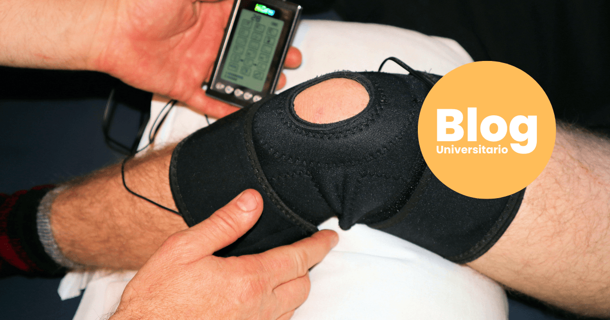 Imagen del artículo: ¿Qué carrera debo estudiar si me gusta el deporte?