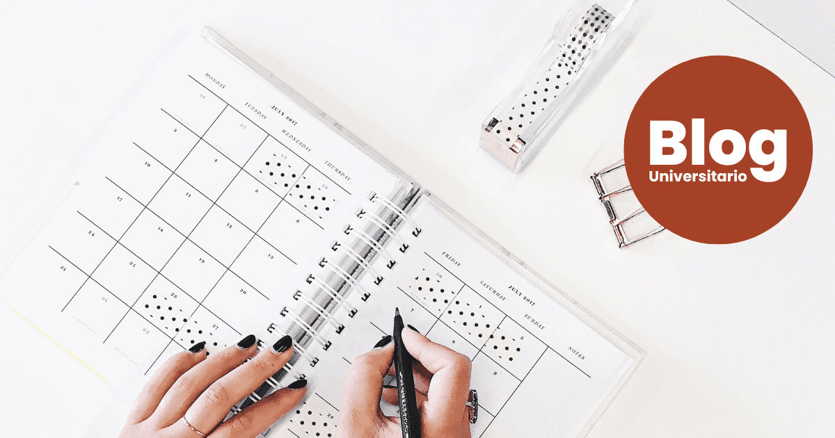 Imagen del artículo: La vida entre clases presenciales y virtuales