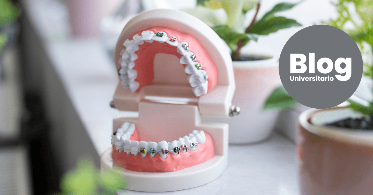 Imagen del artículo: Profundizá más allá de la Odontología