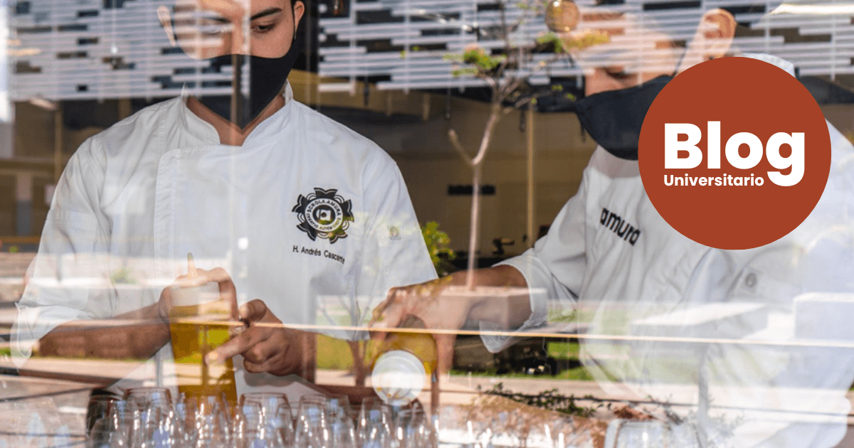 Imagen del artículo: Se acerca la gran final de la segunda edición del mejor concurso gastronómico de Costa Rica: ¡Star Chefs!