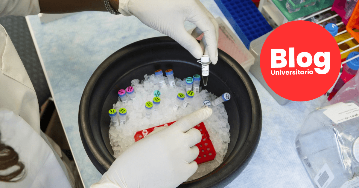 Imagen del artículo: La Biotecnología: carrera del futuro en el presente