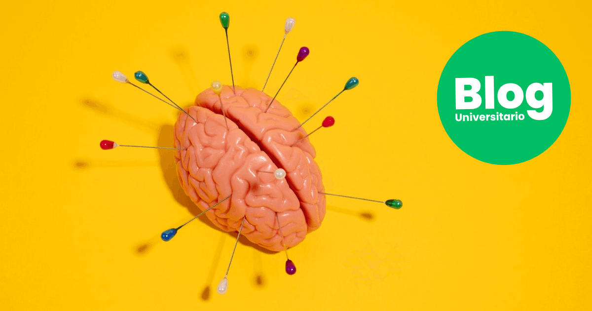 Imagen del artículo: ¿Qué es la fuga de cerebros?