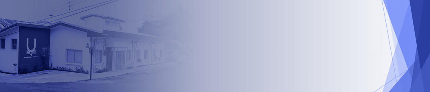 Universidad Magister