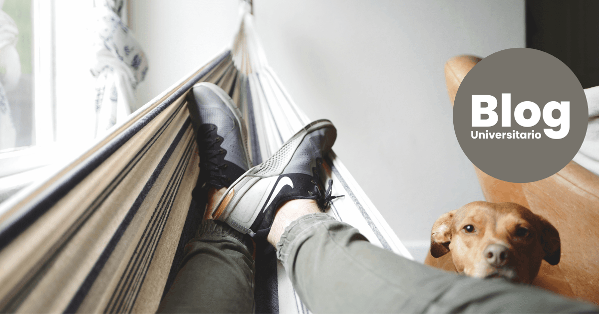 Imagen del artículo: ¡Decile bye al estrés!