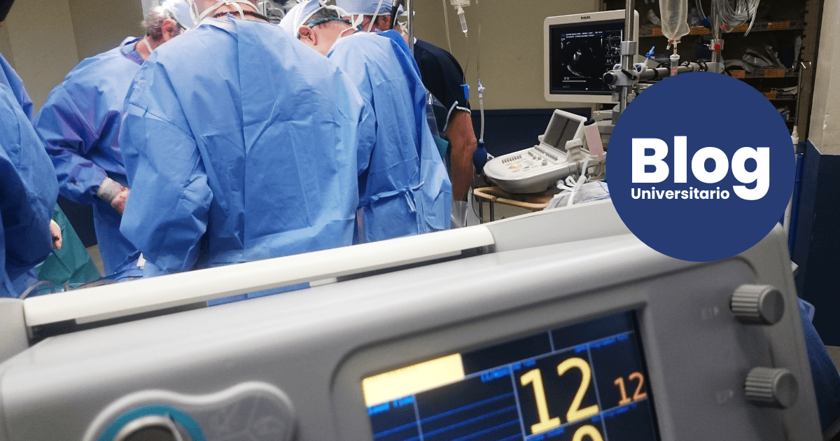 Imagen del artículo: Lo que deberías saber antes de estudiar Enfermería